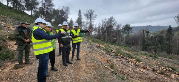 Más de 14 millones para prevenir los incendios forestales en la Región