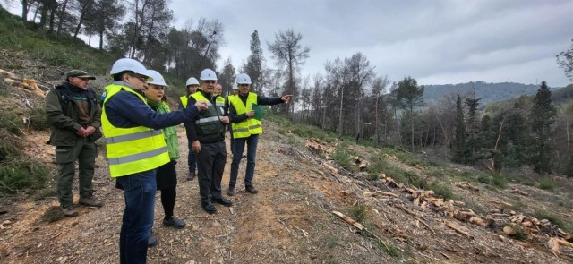 Más de 14 millones para prevenir los incendios forestales en la Región