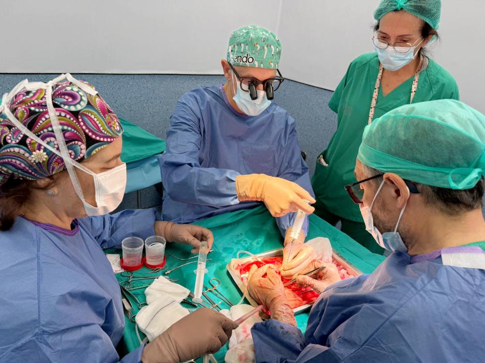 Una donación altruista en el Hospital Doctor Peset inicia una cadena de trasplantes de riñón en España