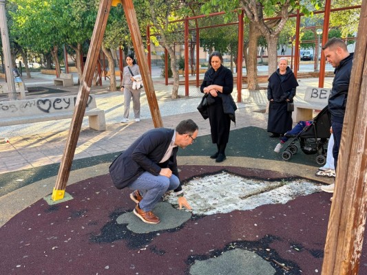 El PSOE de Elche exige inversiones y mantenimiento en Los Palmerales por 