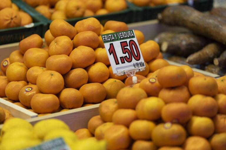 Plagas citrícolas y pobreza alimentaria; dos problemas que van a más