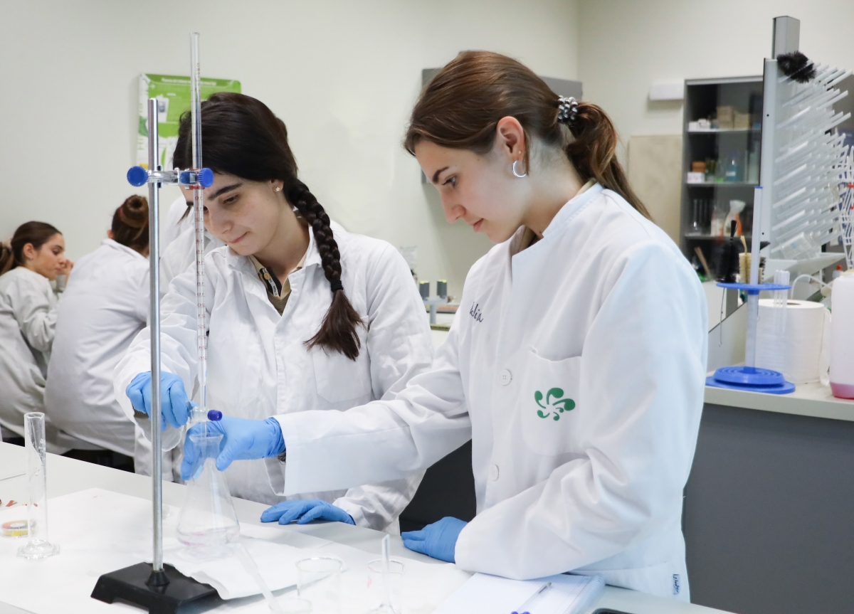 Alumnos del programa del Diploma IB haciendo una práctica.