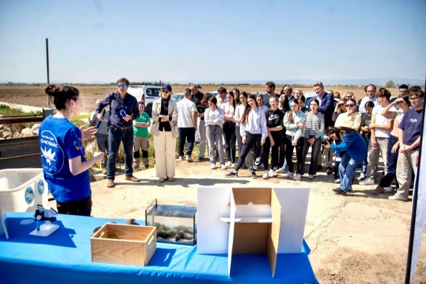 La Generalitat participa en la primera suelta de larvas de 'petxinot' en l'Albufera dentro del programa de recuperación