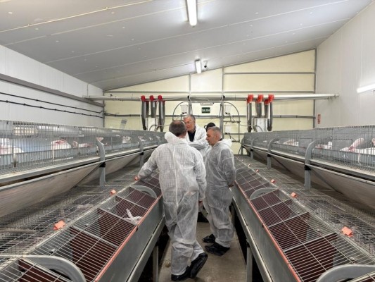 Barrachina anuncia ayudas al sector cunícola para reforzar su rentabilidad y continuidad