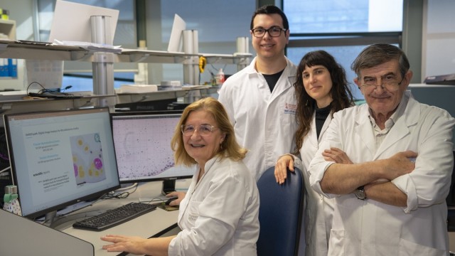 Incliva y la UV crean una herramienta que analiza la morfología de tumores infantiles en 3D de forma más rápida