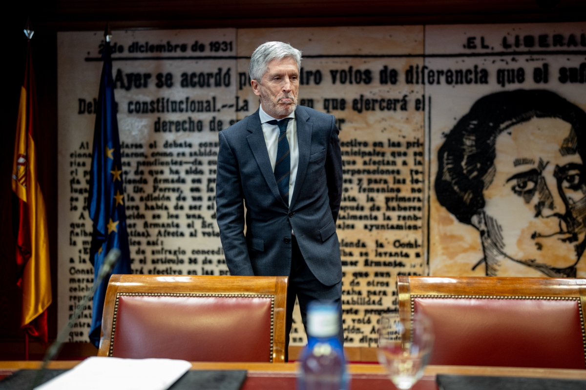 Fernando Grande-Marlaska: 