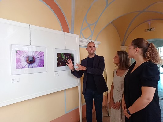 La ciència i l'art s'uneixen al Mucbe de Benicarló amb les fotografies del concurs 'Imatge i Ciència'