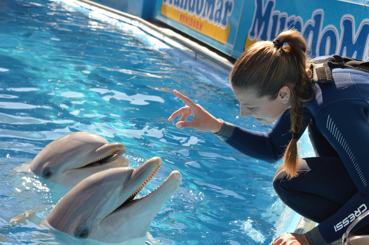 Delfines en Mundomar.