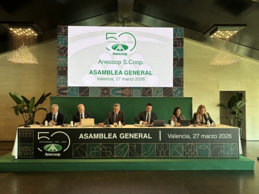 La Región aporta el 21% de los 1.166 millones facturados por Anecoop, la mayor cooperativa agrícola de España