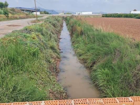 Nules destina 182.000 euros a contractar a un total de 47 treballadors aturats del sector agrari