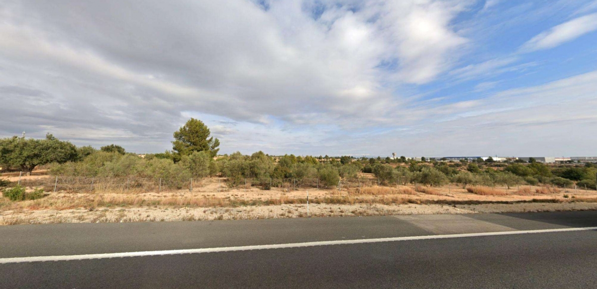 Estado actual de las parcelas donde Cheste proyecta un gran polígono industrial.