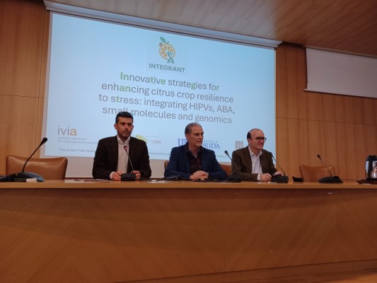 El IVIA lidera un nuevo proyecto frente al HLB: cítricos resilientes ante su enemigo más dañino