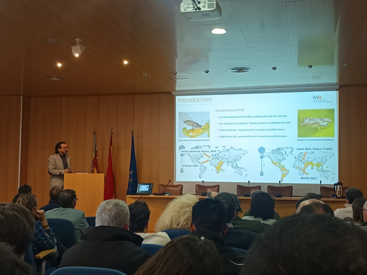 El profesor Alberto Urbaneja, durante la jornada del IVIA.