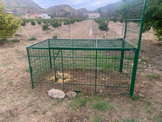 La Comunidad busca formas de reducir la población de jabalí y estima hasta 20.000 capturas al año