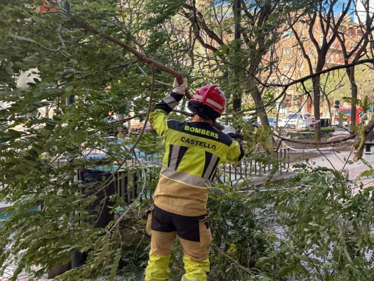 Los efectos del viento en Castelló: Más de 150 intervenciones de los bomberos y el Salón del Cómic suspendido