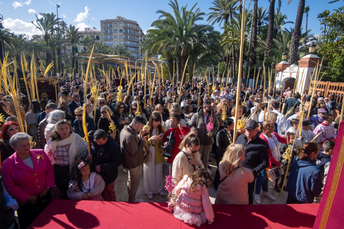 El Domingo de Ramos en Elche, en imágenes