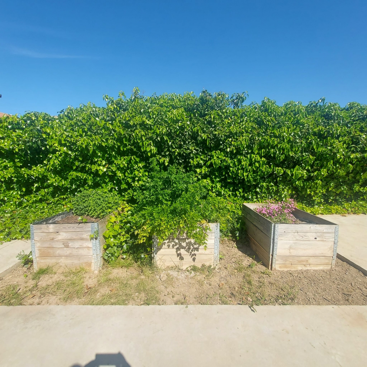  - Foto: MARÍA JOSÉ MUÑOZ MORA