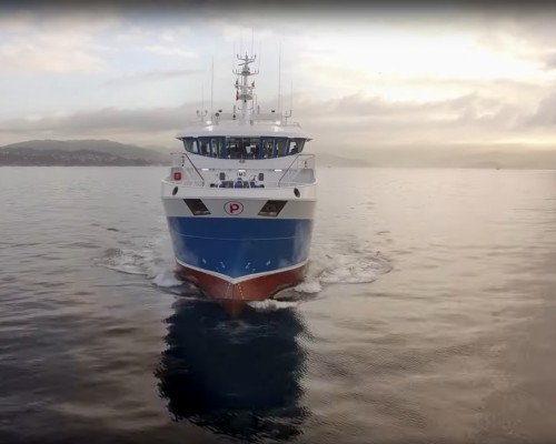 Grupo Nueva Pescanova vuelve a beneficios en 2025 y gana 1,1 millones tras aumentar sus ventas un 7,3%