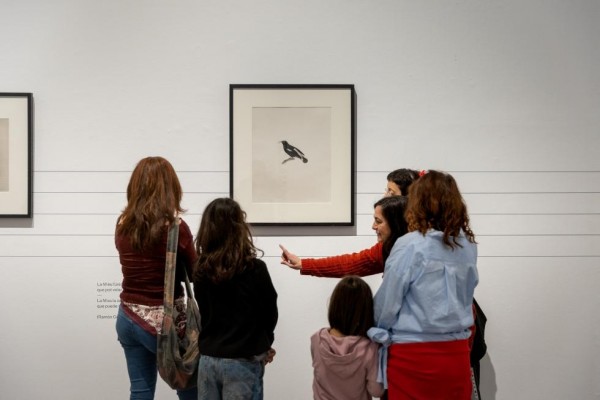El Consorci de Museus amplía su programa de actividades para Pascua con talleres y visitas al EACC