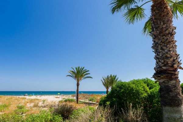 Castelló se asegura dos servicios de playa hasta 2028: tres firmas optan a las bicicletas de agua y un quiosco