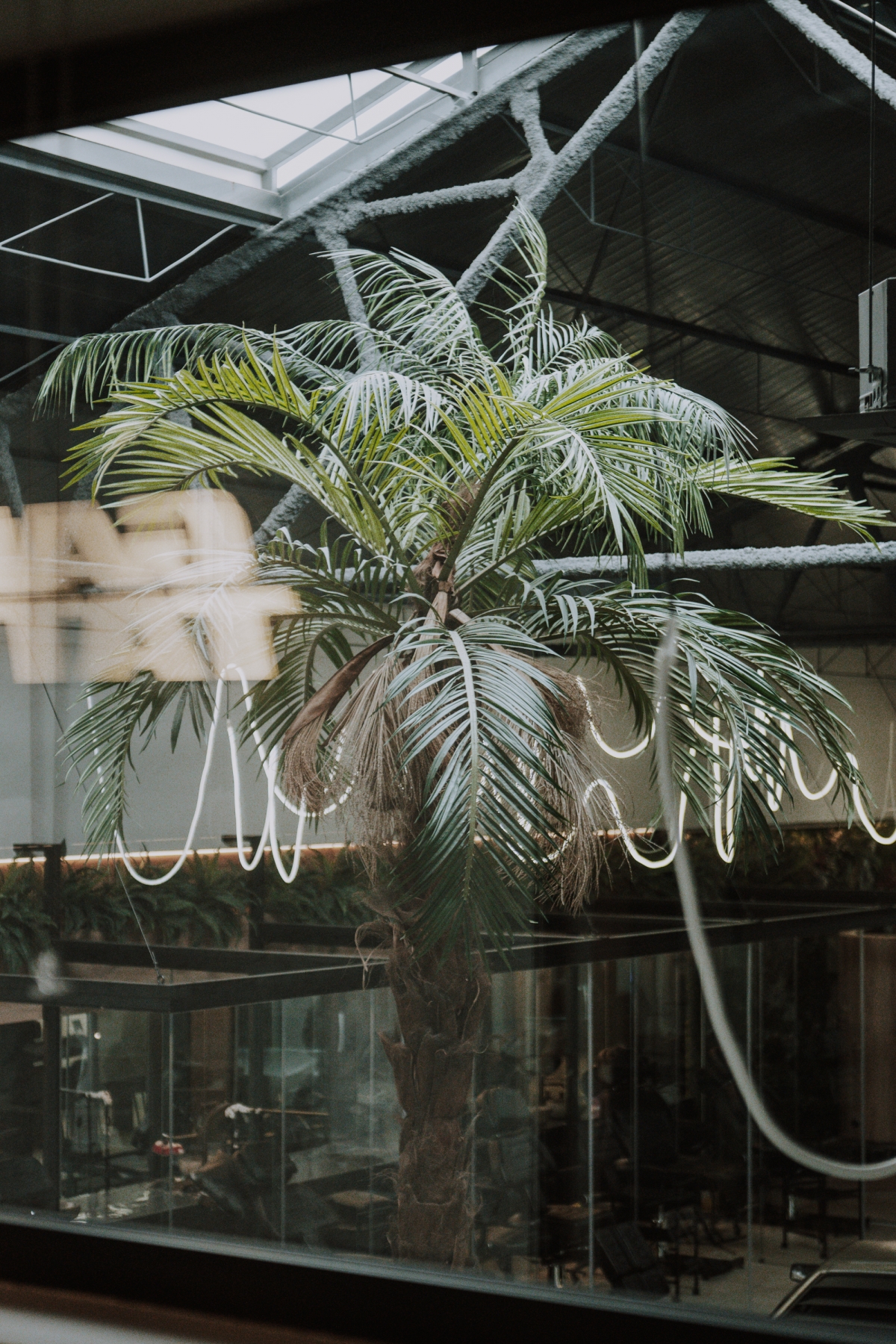  - Foto: OPEN HOUSE MURCIA