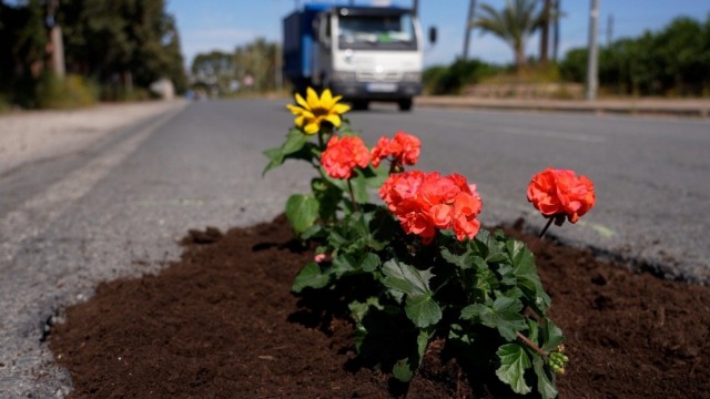 'Una flor en cada bache': el PSOE muestra así los daños en las carreteras de las pedanías de Murcia