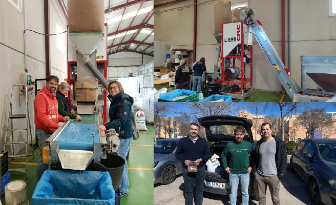 El renacer de la 'Negreta': Benassal se alía con la ciencia para salvar su avellana