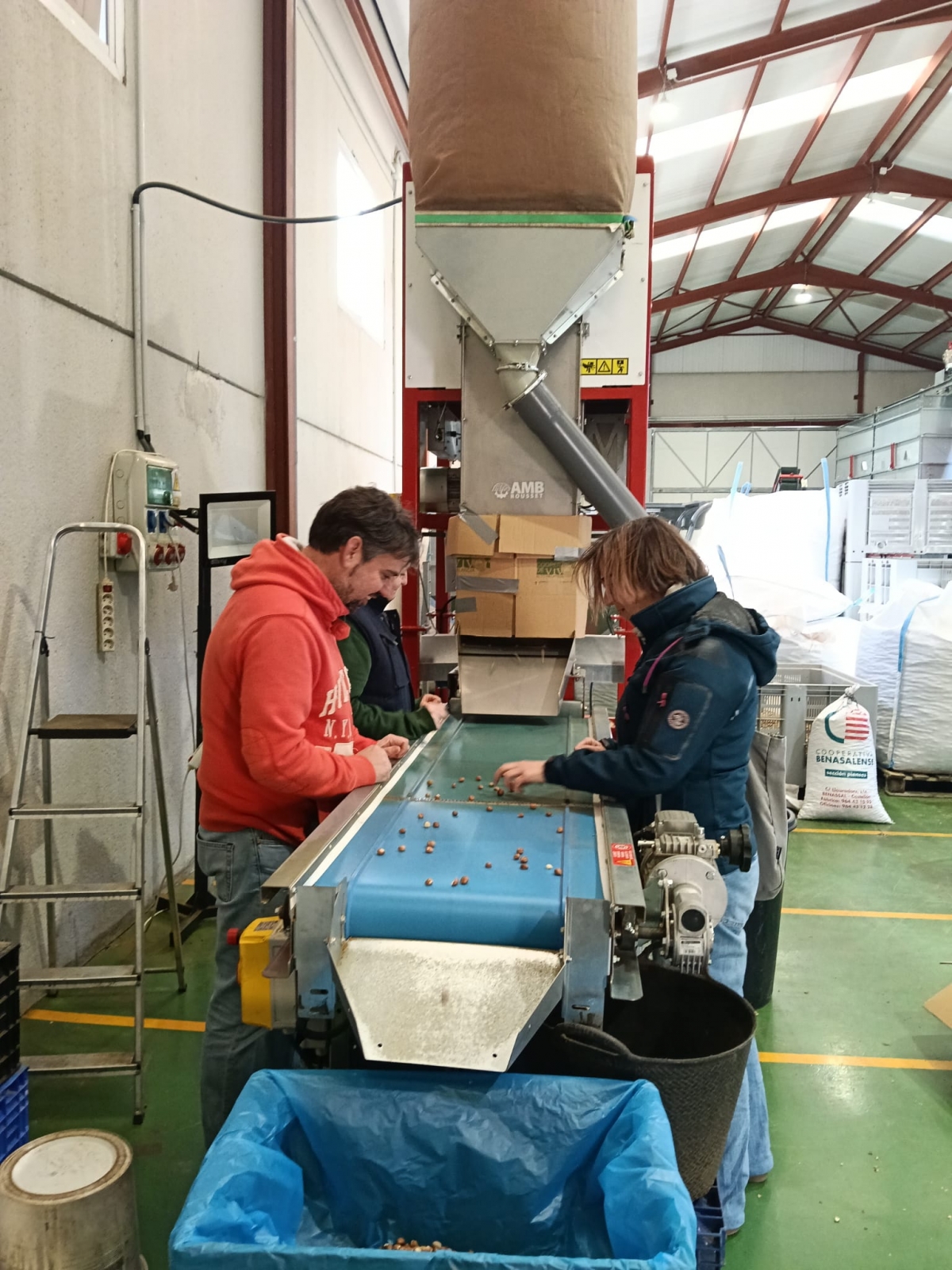 El objetivo es convertir la avellana de Benassal en un artículo de marketing gourmet. - El objetivo es convertir la avellana de Benassal en un artículo de marketing gourmet.