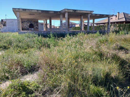 Orihuela intensifica los trabajos de control de mosquitos tras detectar un aumento en las últimas semanas