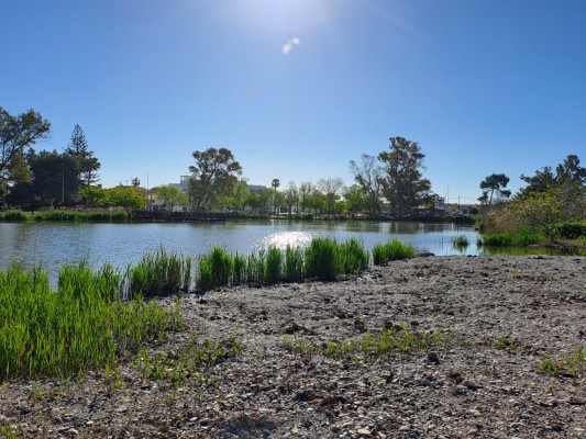 Nules amplia el parc natural de l'Estany amb una nova llacuna per a recuperar l'hàbitat de les aus