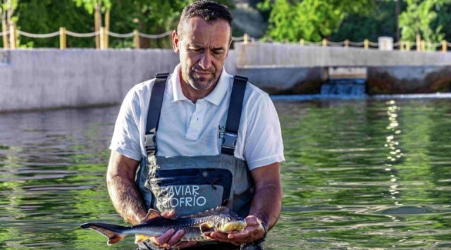 Riofrío, de cerca y en Granada, permite visitar la producción del primer caviar ecológico del mundo