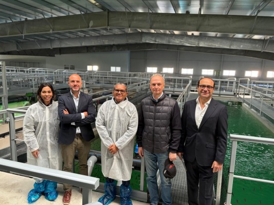 La alicantina Aquaculture atrae a República Dominicana y planea 'exportar' su piscifactoría