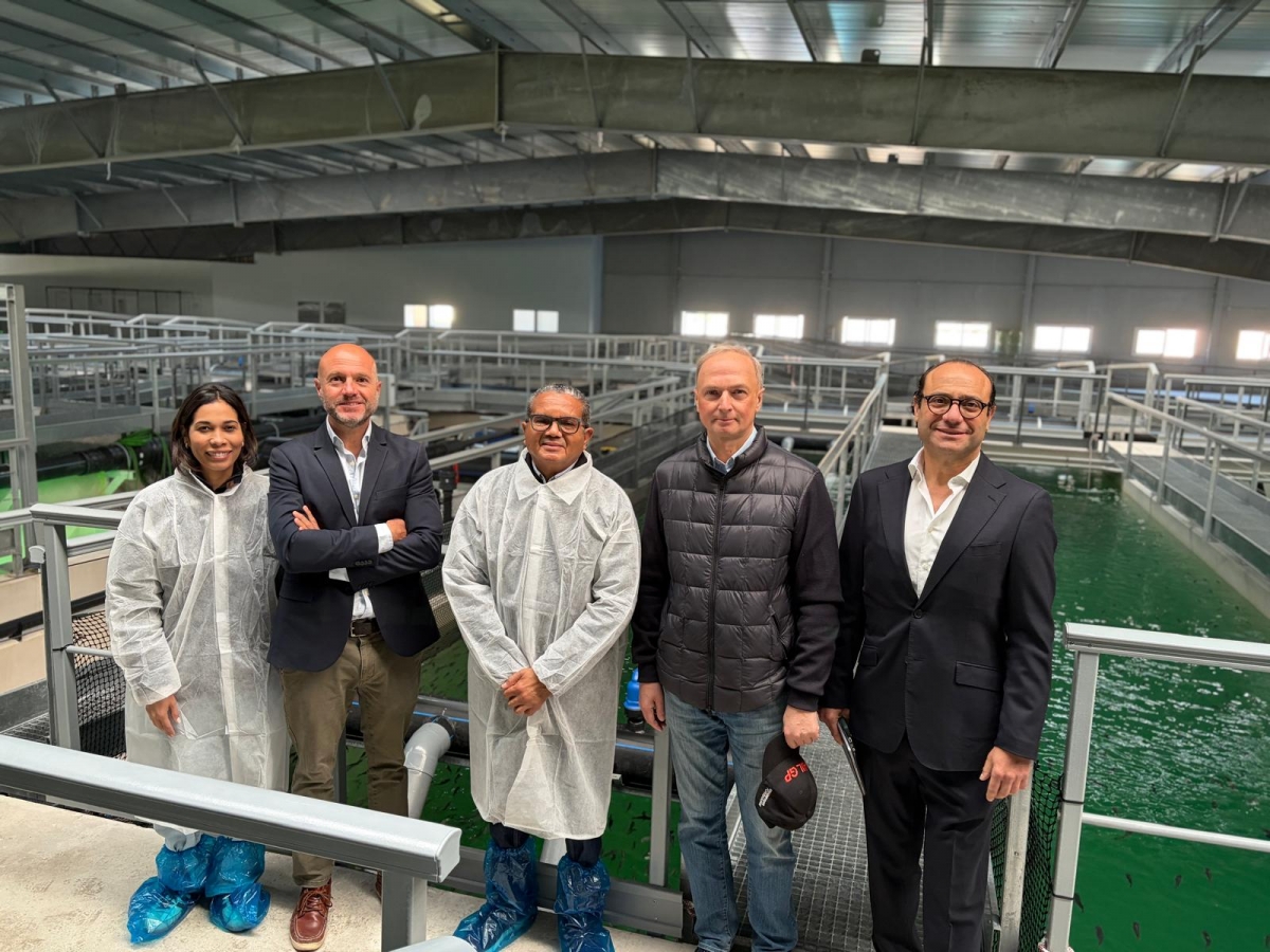 La alicantina Aquaculture atrae a República Dominicana y planea 'exportar' su piscifactoría