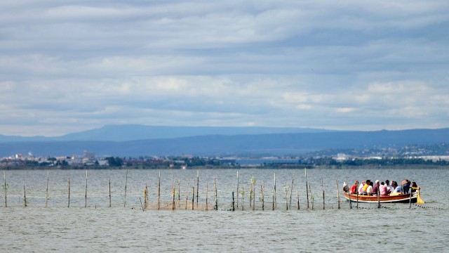 El Miteco destina 132 millones al 'Plan Albufera' para 