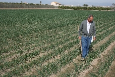 AVA-Asaja denuncia las trabas burocráticas para solicitar las ayudas del Ministerio para fertilizantes