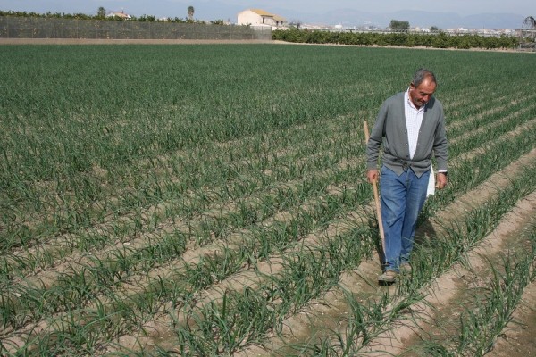 AVA-Asaja denuncia las trabas burocráticas para solicitar las ayudas del Ministerio para fertilizantes