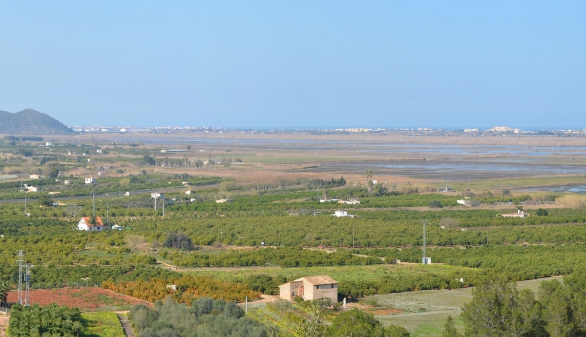 Los agricultores de Oliva y Pego ahorrarán tiempo con la agrupación de parcelas aprobada por la GVA