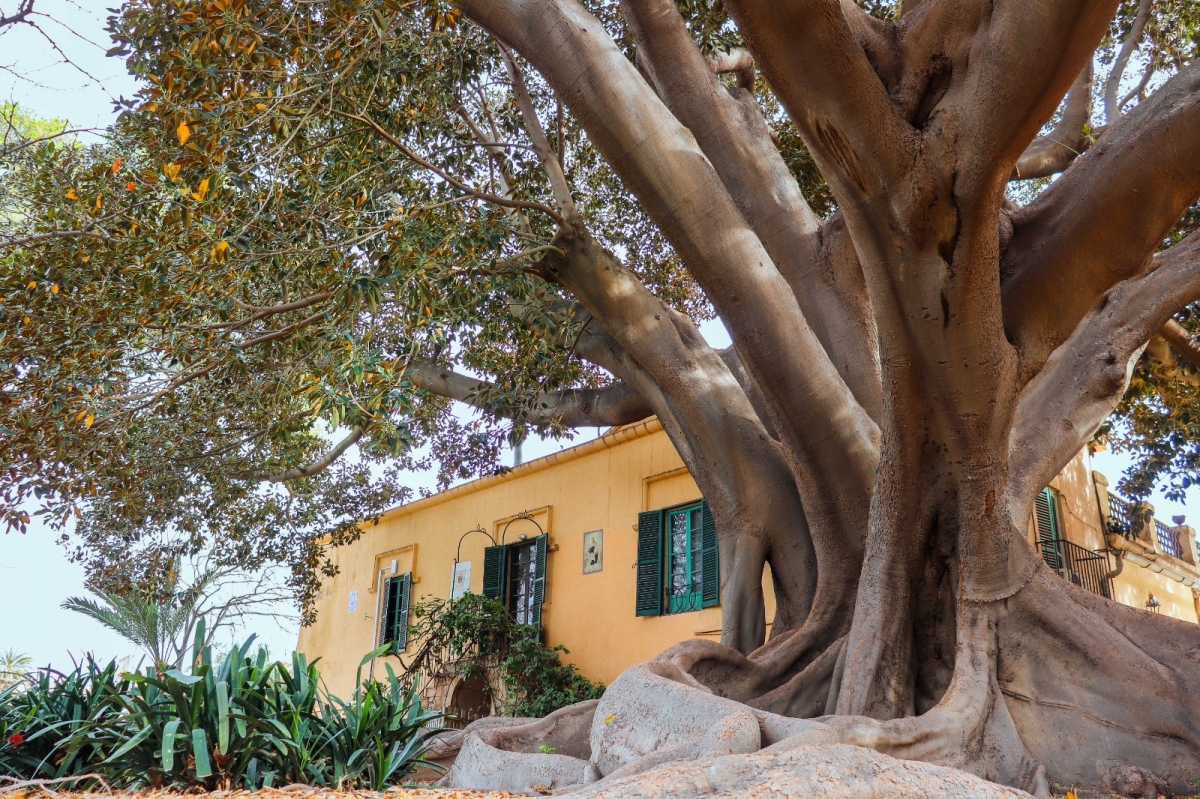 Jardines de Santa Elena - Jardines de Santa Elena