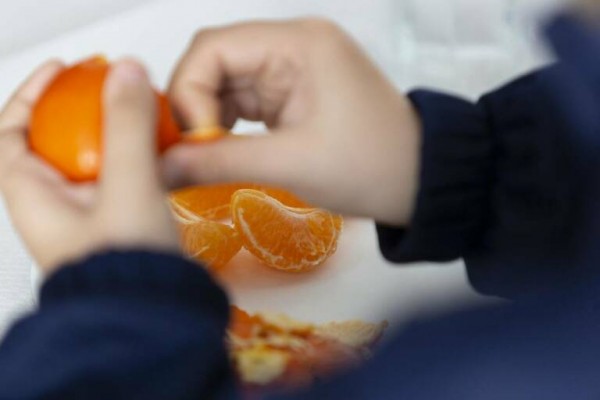Consumir fruta variada a diario ayuda a mantener una buena salud visual a largo plazo
