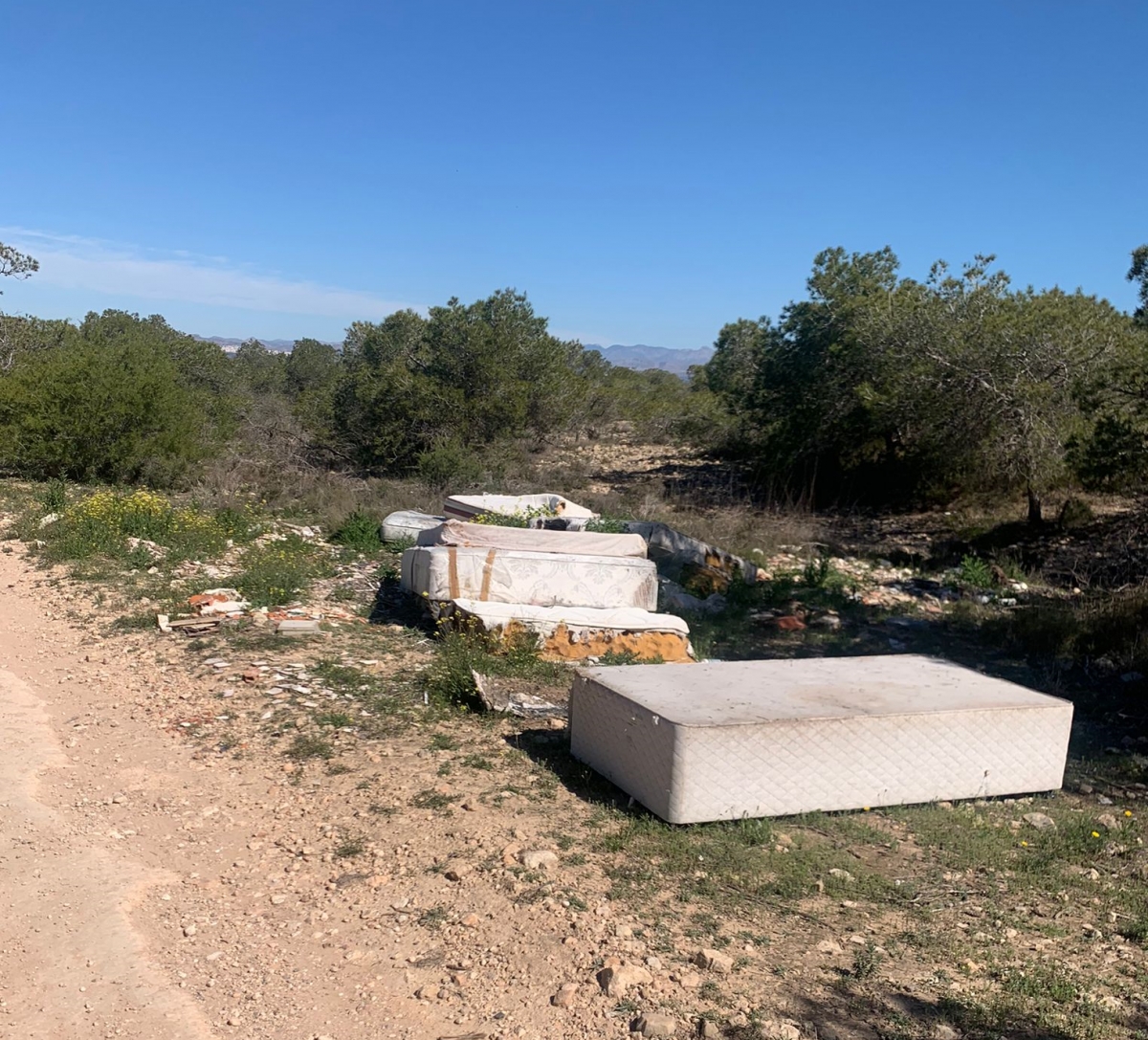 Las sanciones más elevadas que contempla Elche en la ordenanza rural no superan los 3.000 euros