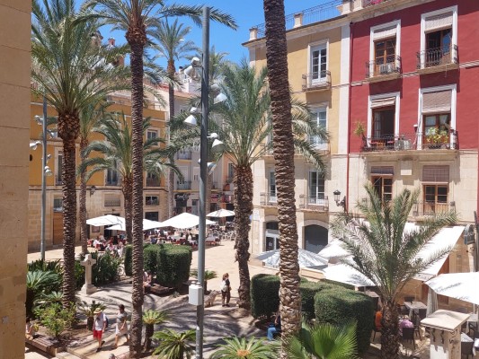 Alicante promueve una bolsa de vivienda pública dinámica con solicitudes renovables cada dos años