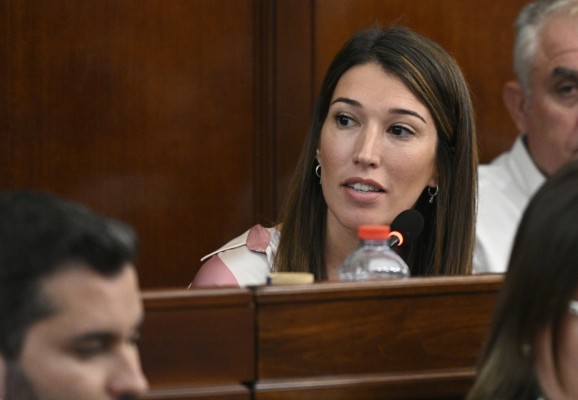 El PSPV reclama a la Diputación de Castellón medidas preventivas para frenar una posible proliferación de mosquitos