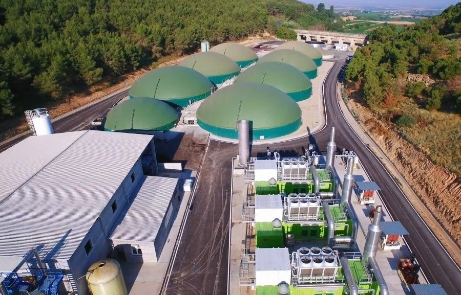 El Grupo Griñó supera los 300 millones de euros de facturación en 2025, con un crecimiento récord del 50%