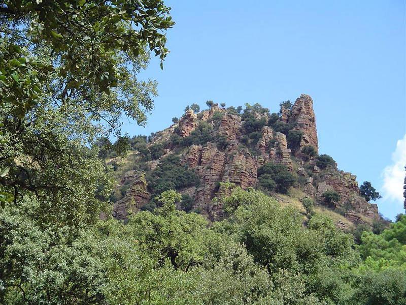 La Generalitat convoca ayudas por 7,95 millones para financiar actuaciones locales de prevención de incendios