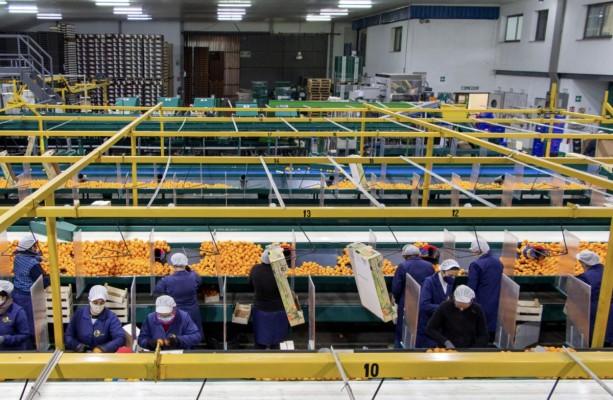 El cooperativismo valenciano supera los 63.000 empleos y roza los 10.000 millones de facturación 