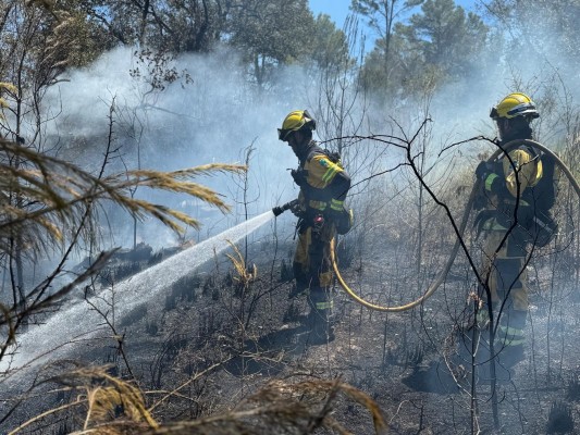 Emergencias activa la situación 1 del PEIF en un incendio de vegetación en Barxeta
