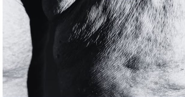 El cuerpo como territorio de resistencia: la artista Ana H. Reyero expone 'Piel Indómita' en Mazarrón