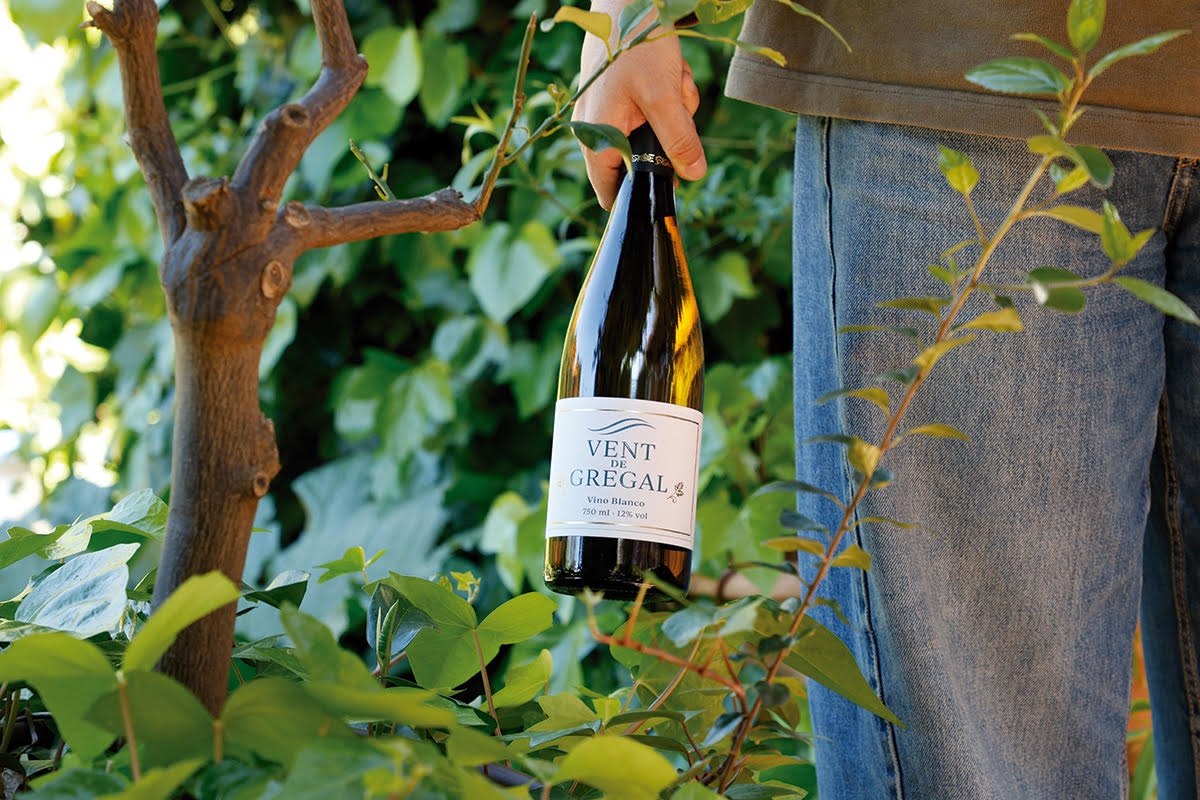 Bodega Teulada impregna la ciudad de València con aromas y sabores de la moscatel