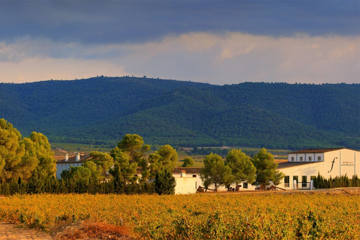 Casa Los Frailes revela trece generaciones de historia en cada copa de vino