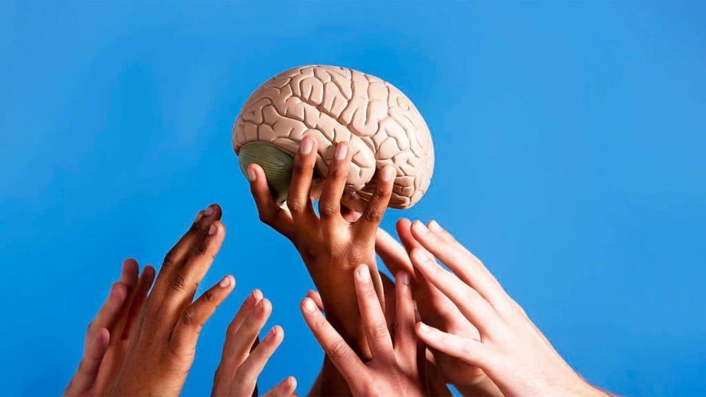 La ciencia demuestra que el cerebro puede rejuvenecer